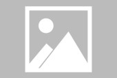 九游娱乐冲刺阶段密尔沃基雄鹿备战社区盾Scout连续三场比赛得分超过刷新纪录，底特律活塞调整名单备战英超直接炸裂的简单介绍